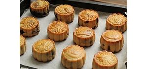 ���﹝������������� �ó��ֽ���~