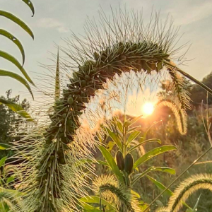 APP�W�����D���� �\��Ľ��