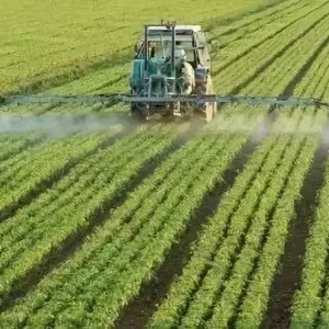 ��ʾ�����8��ͥ�r(n��ng)�����xʡ��ʾ����