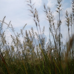 �W�ѷ���Ȧ�S�� �������е�����