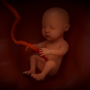 �����е����� ߀���Ћ��z����·߅��