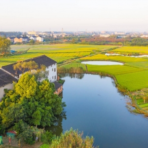 ��̎������ ����r(n��ng)��֮����������