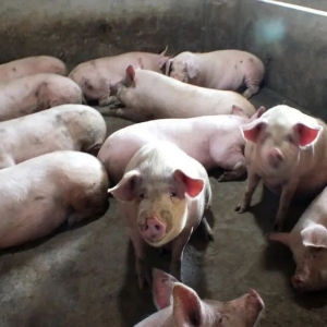 ��������i��r����� ��������ˣ�