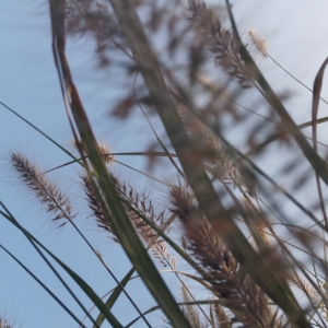 APP�W(w��ng)�����D���� �Q���Ƕ�ӛ䛴���Ȼ