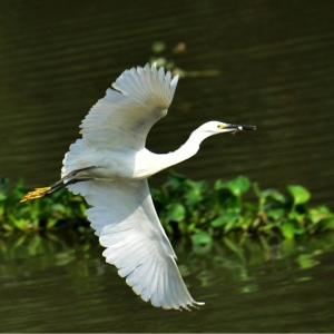 �zӰ��W(w��ng)���Ĕz��չ���w������B