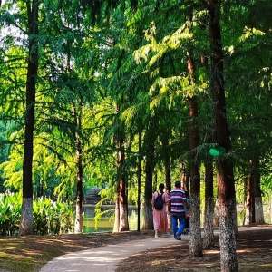 �W(w��ng)�ѷ�������ӛ�S�ģ��������ǹ��@