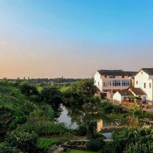 ���ι������o�aΨһ ���cȥ���ˆ᣿