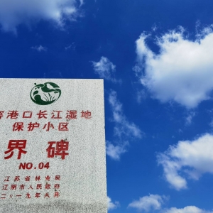 �����������{����� �����ҁ���