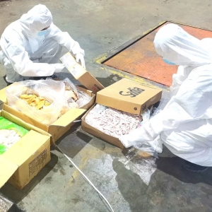 �o�����ѣ��@Щ��ǧ�f�e��