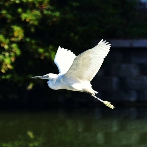 �W�ѷ������]ƪ��ץ�İ������~