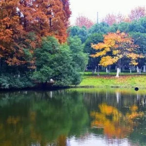 ���ڇ��c���g�� ��������ĵ�����