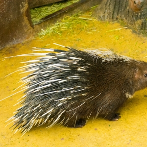 �@Щ�������12�µ�ǰҪ����ֹͣ�Bֳ