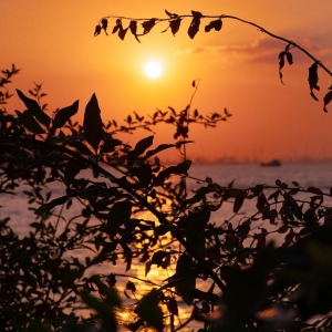 ���S���@Ϧ�� �˕r���켴�����g�پ�