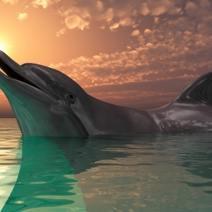 ���ࡢ�{�ӡ��ܺ���...�����ķN˯����ͣ�