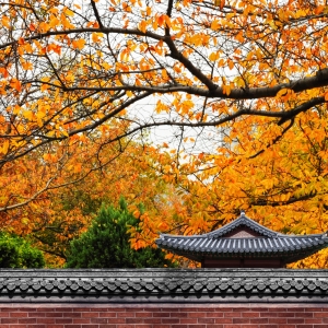 �o�����ѣ���ꎽ���+�����R�ρ��u��