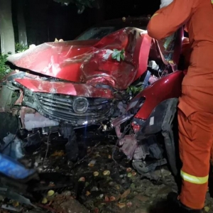 �o�C+���{��������ҹ�_܇���J����G����