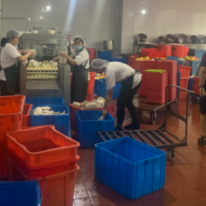 �o�a���B�h���`��������@�׼���I�����P