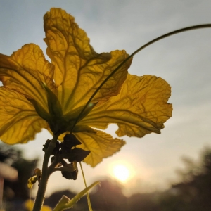 APP���x�DƬ��������՟oһ�� �������f��