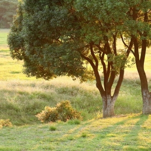 ����ĩ������ɫ ��ɽ�� �����e�ӵ��L��