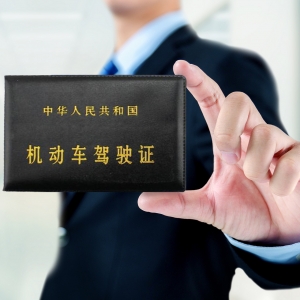 ݚ�D��ꎡ����졢���d 17�����Sţ����ץ��