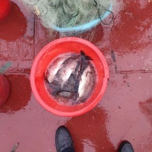 �Ĵ�e�ҷǷ����ƣ���������@��`������