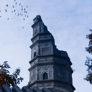 СƷһ�M���~֪����֪�� ��˪��