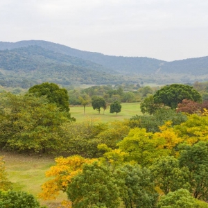 �W���Ĕz����ɽ���_ʼ�u����ɫ