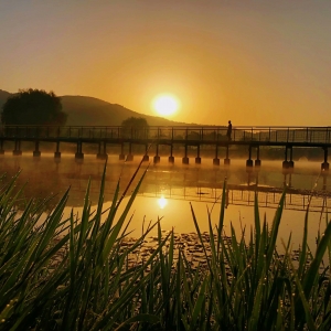 �W����Ʒ������������Ҋһ·����