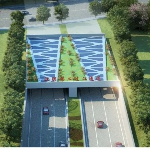 ��ꎾ����L�����������Mչ