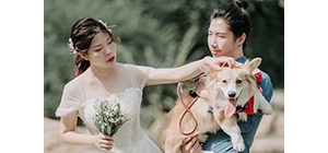 ������˻�Y���L �^�m�V�����Ð������