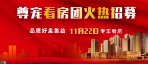 11�¿����F������ᆢ�� �Ѕ^���P�����Ʒ�b��