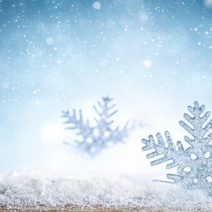 ������⡰�y�ס�������ț_��25�棡���ͽ�10�棡