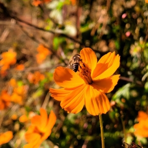 �W����ɽӛ��ꖹ�����ȥһ����Ȫɽ����̶