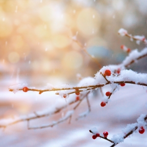 1�棡��ꎚ�،�ӭ�붬�µͣ�