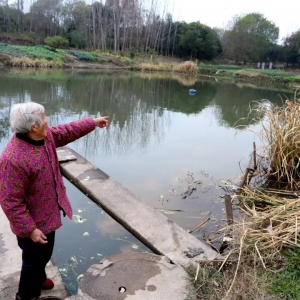 ���84�q������������ӾȺ�ͯ �Y(ji��)������