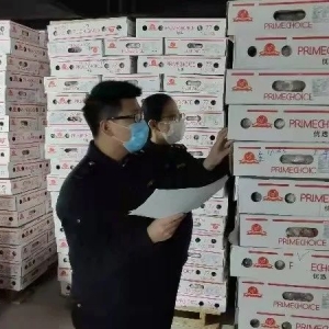 ����M(j��n)�����?zh��n)�Ʒ�O(ji��n)�ܷ��� �ж��ٺϸ�ģ�