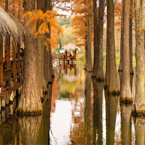 �zӰ��W�����]��ˮɼֱ���ƶ�