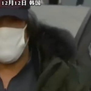 ���°��ﷸ���z Ⱥ���Ͳ������܇�v