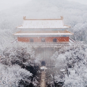 �W�����D���Ͼ��ĳ�ѩ ���������ɾ�