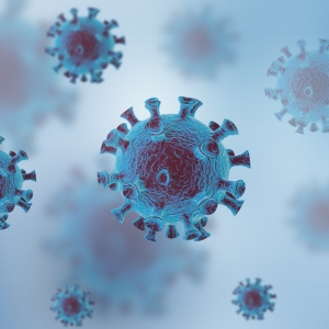 �����و� ����12��22��24�r������r