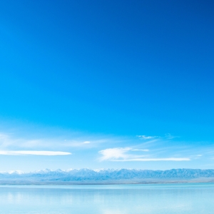 ���������ꎽ���ʮ������õ��{(l��n)��ɿ���