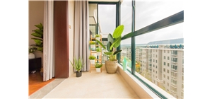 ����_���Ҫ֪���������˽��