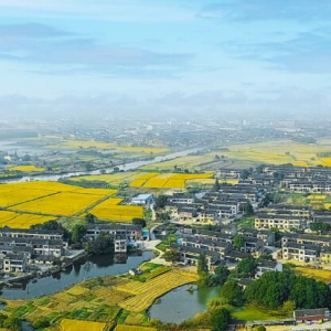 ������zַ���� ����ɫ�ȟ���ˮī����