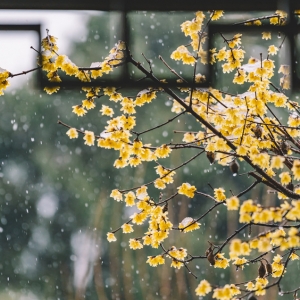 ��ꎽ��������ɫ�A(y��)�� ������ߜ،���10��