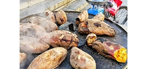 �����ﲻ���e(cu��)�^�Ľ�ꎽ��^��ʳ ����һ�ڄe���ů��