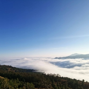 �p��Ϫ����ɽ ���Ɵ�����̎