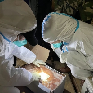 ��(y��n)�ͣ��o�a��@19��������˽��Ʒ