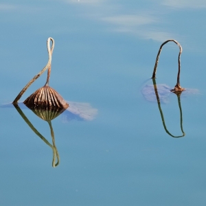 ���գ����ۿ���Ě����H�ߚ��