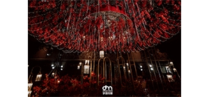 ������˼tɫϵ��Y �����������ǐ�����ɫ