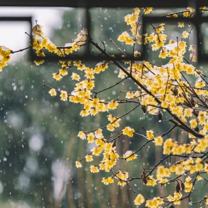 ��ꎌ��E��ʮ�ȣ����ك�����Ҫ����